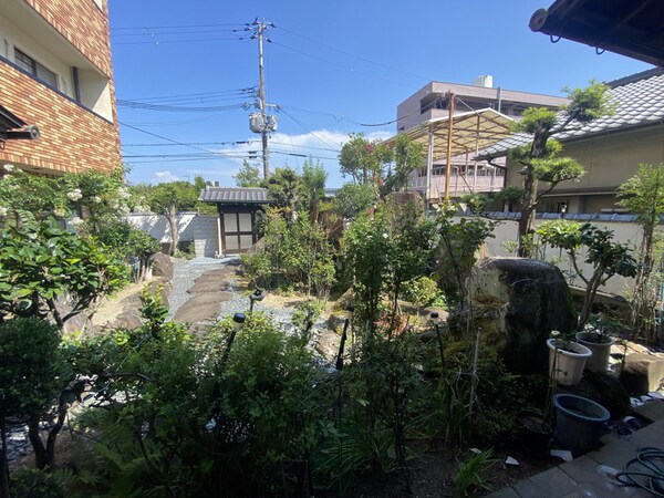 庭