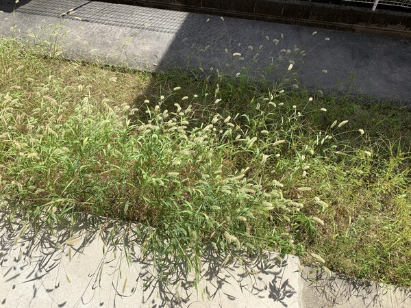 バルコニー・ベランダ