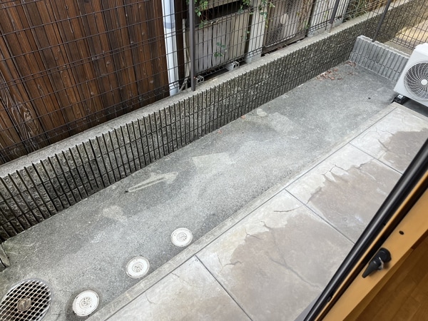 庭