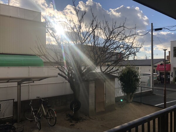 眺望